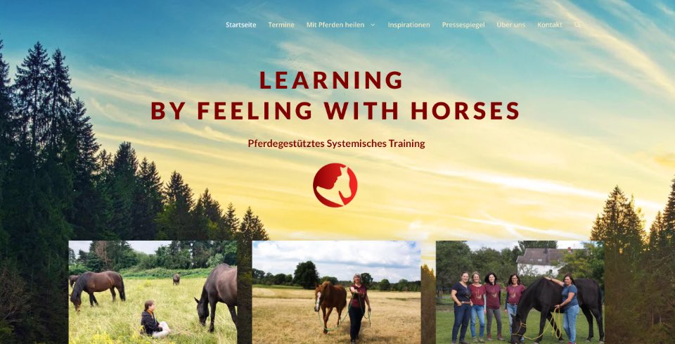Pferdgestütztes Systemisches Training